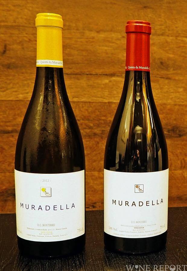 世界一レストランもオンリスト スペイン モンテレイのキンタ ダ ムラデッラ Wine Report