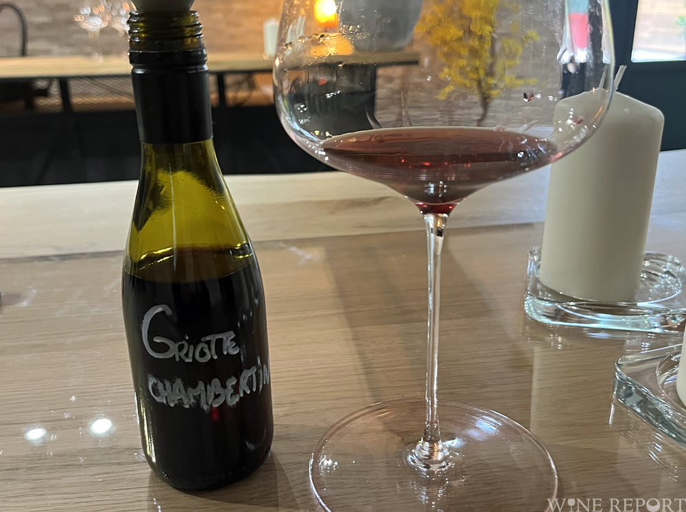 古樹でグリーン・ハーベストは不要、飲み応えがありジューシーな