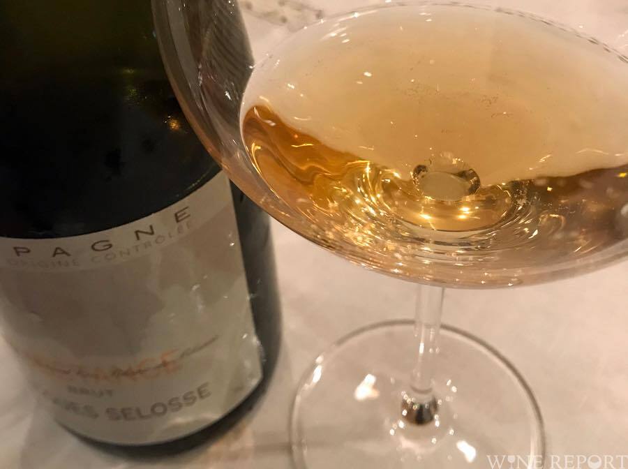 【WINE HOLIC】シュブスタンス 1本 WINE HOLIC様専用】シュブスタンス 1本Ω