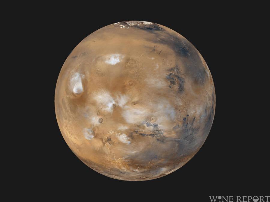 世界最古のワイン：2000年以上前のローマの壺を科学者が発見