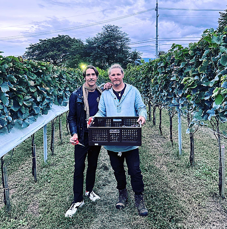 ネッド・グッドウィンMW、長野・山梨のワイン総評(日本レポート第三弾) WINE REPORT