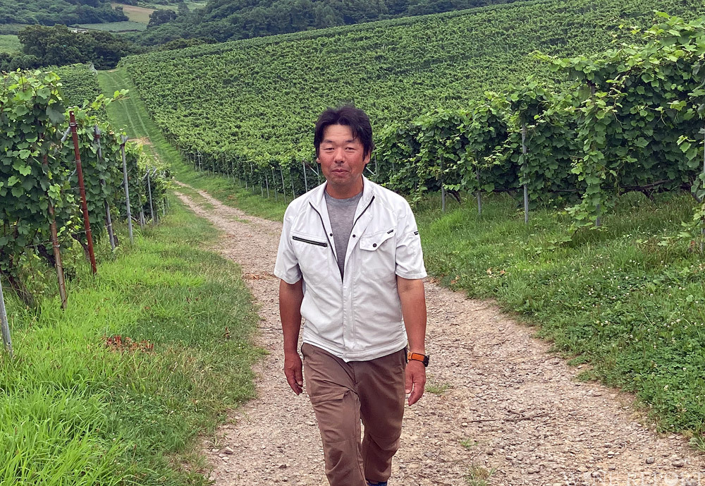 日本のピノ・ノワールの先駆、余市の木村農園の栽培を深堀り | WINE REPORT