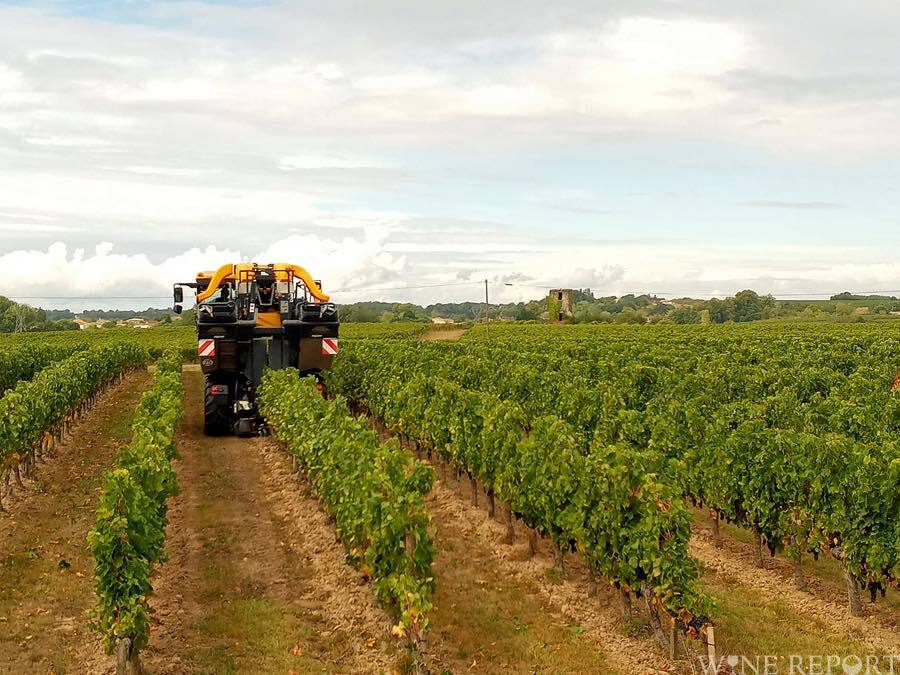 コート・ド・ブールの生産者、2025ヴィンテージまでにHVE認証を義務化 WINE REPORT