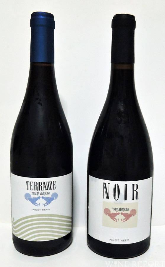 イタリア・ロンバルディア、テヌータ・マッツォリーノの冷涼感あふれるピノ・ネロ WINE REPORT