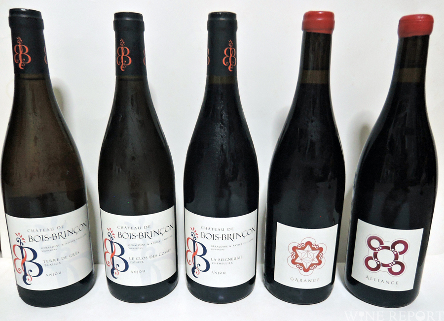 ピュアなシュナン・ブランの魅力、アンジューのシャトー・ド・ボワ・ブランソン WINE REPORT