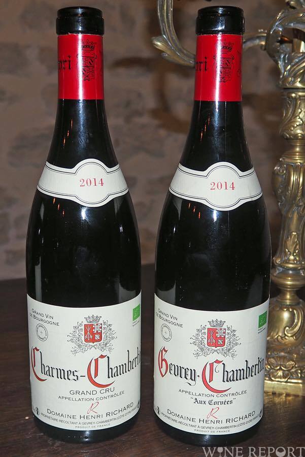 ジュブレ・シャンベルタンの新星、アンリ・リシャールを捕捉（ブルゴーニュ2017） WINE REPORT